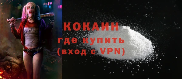 дживик Баксан