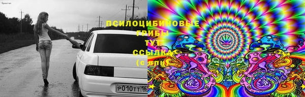 дурь Балабаново