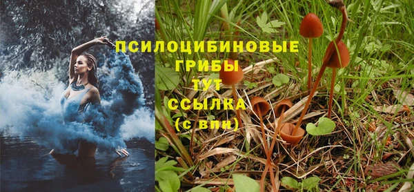 прущая мука Балахна