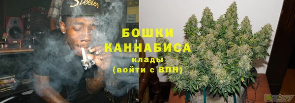 дживик Баксан